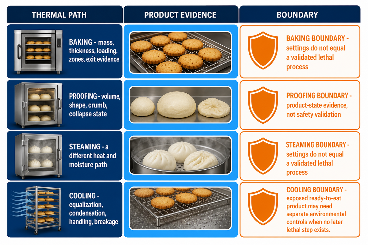 Treat Baking, Proofing, Steaming, and Cooling as Different Thermal Paths — UDTECH